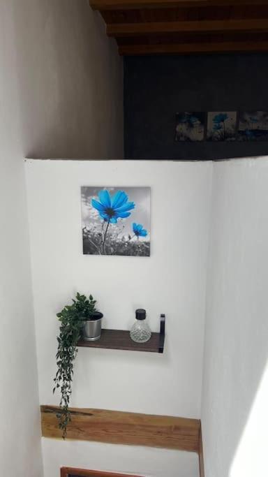 Ca La Trini Vivienda Vacacional Nava Exterior foto